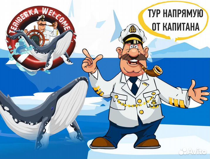 Морская прогулка и рыбалка в Териберке