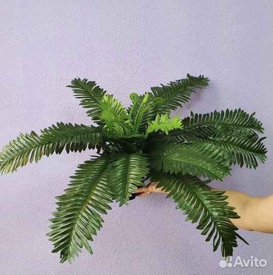 Декоративные цветы в горшках