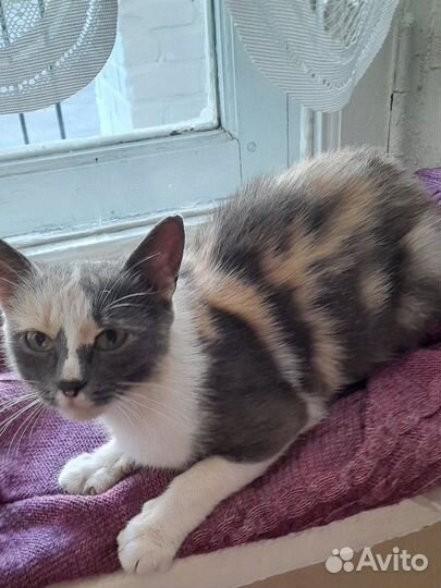 Девочка потеряшка