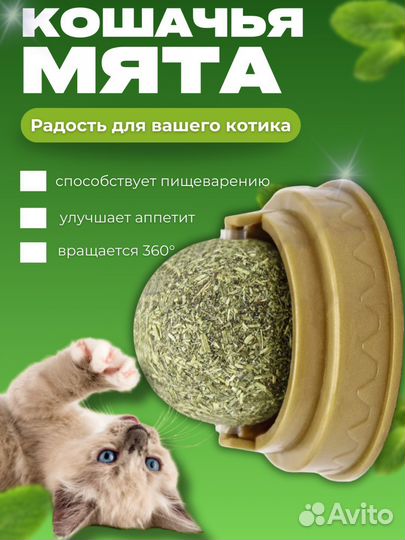 Инфографика для маркетплейсов дизайн карточек