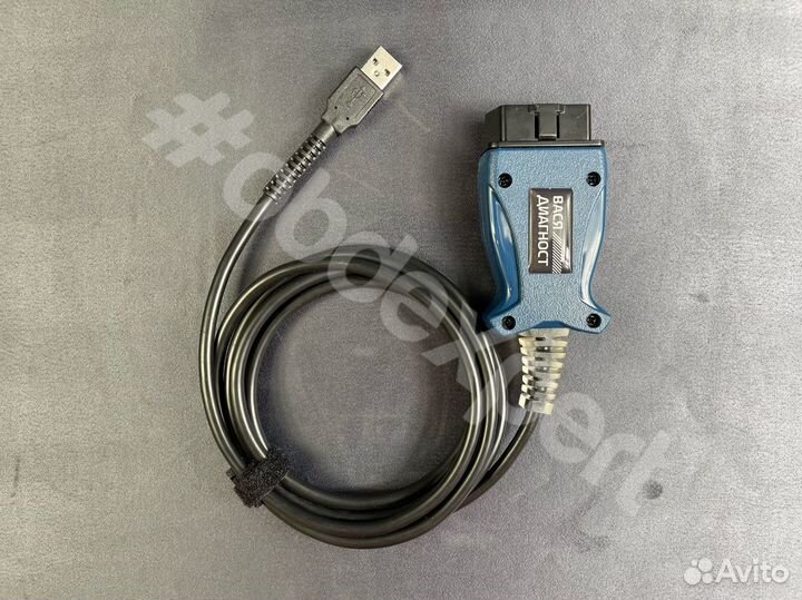 Вася Диагност 22.10 Беларусь