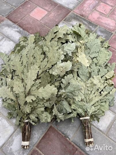 Веники для бани