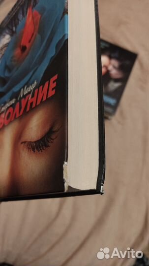 Сумерки Стефани Майер