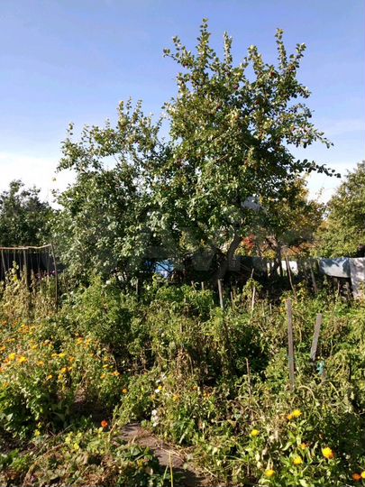 Дача 20 м² на участке 6 сот.