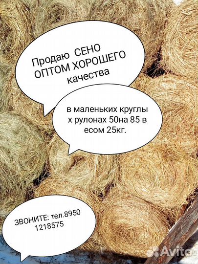 Продам сено в рулонах оптом