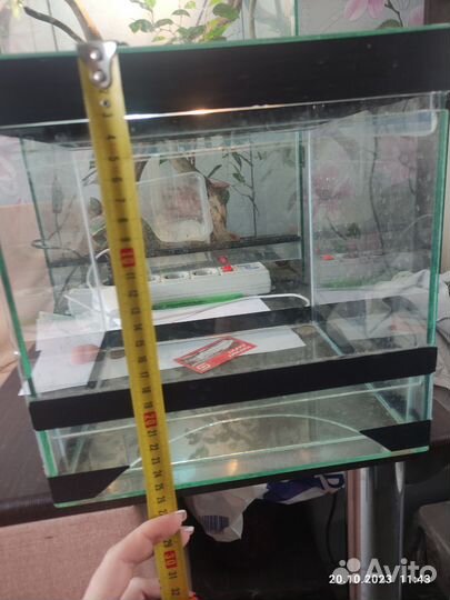 Террариум для паука