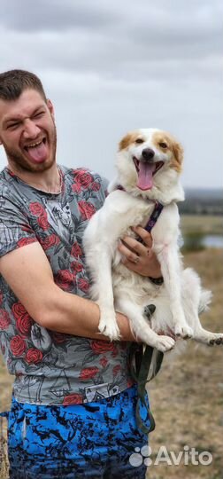 Белоснедная девочка в добрые ручки