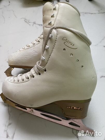 Фигурные Коньки edea chorus 230