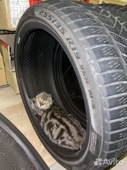 Winter Tact Nord Frost 3 255/35 R19