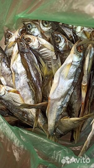 Рыба уклейка вяленая