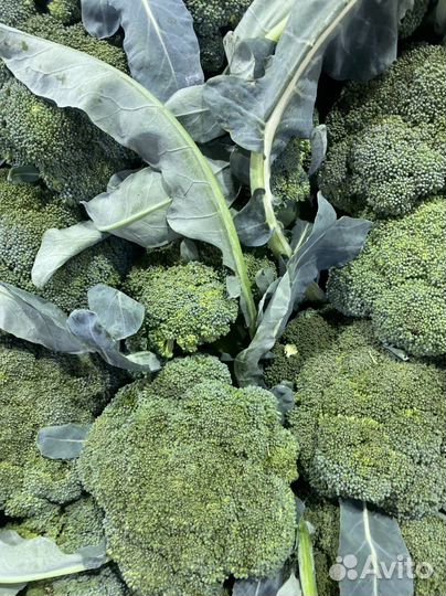 Брокколи