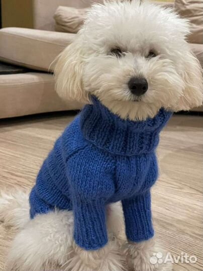 Свитерочки для собак и кошек