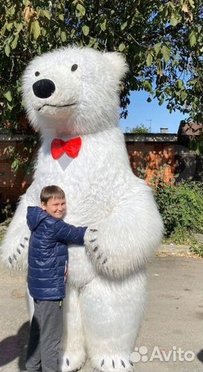 Белый медведь / Поздравление