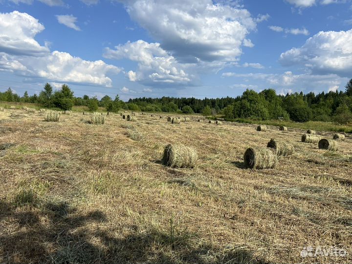 Сено в рулонах