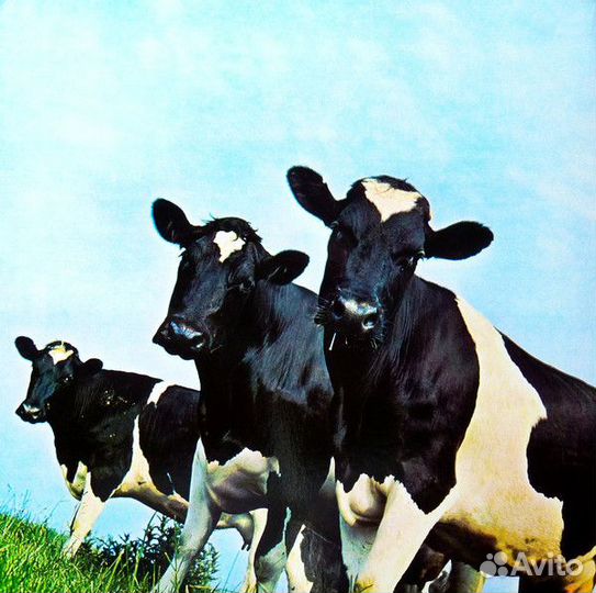 Виниловая пластинка Pink Floyd atom heart mother
