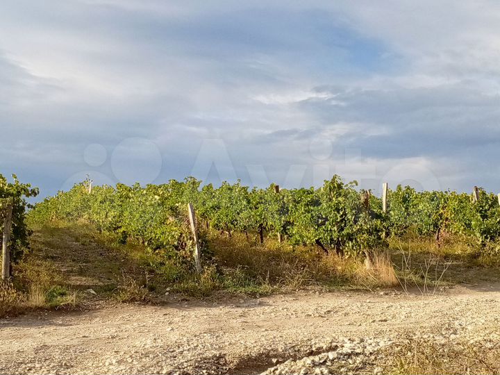 Дом 100 м² на участке 5 сот.