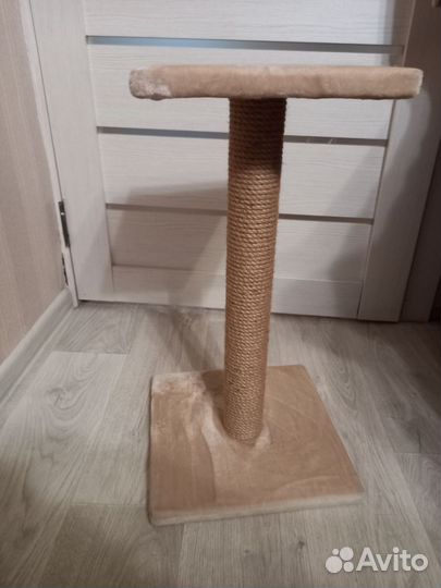 Когтеточка