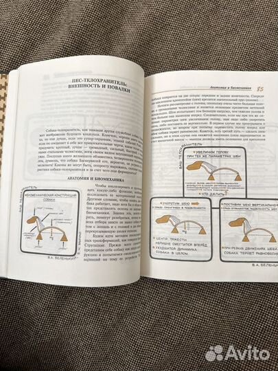 Книга по кинолиги Мычко 