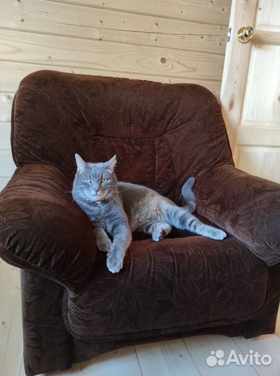 Диван и 2 кресла