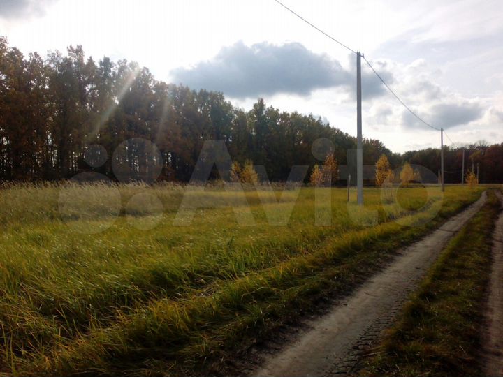 Участок 10 сот. (ИЖС)