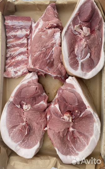 Домашнее мясо свинины, задняя часть
