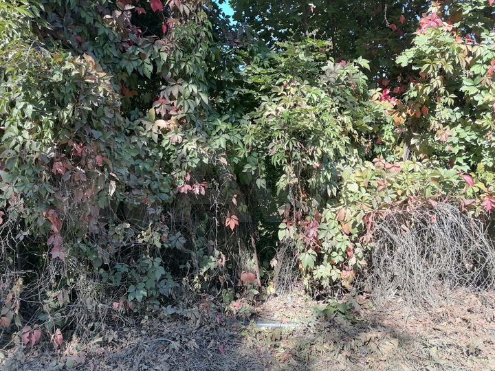 Участок 3,8 сот. (ИЖС)