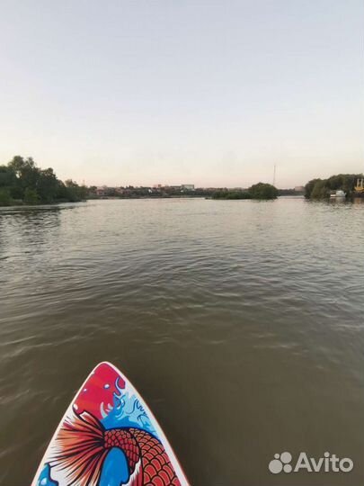 Sup board сап доска аренда