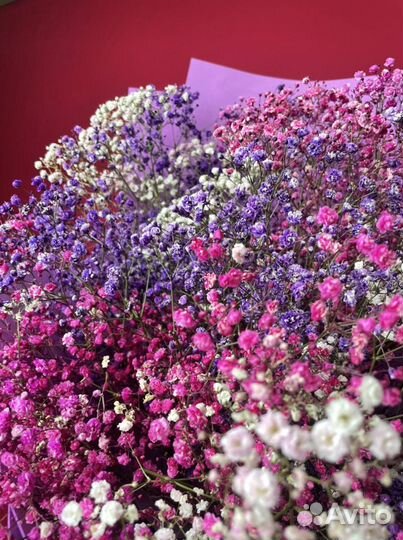 Букет Гигант из гипсофилы с Доставкой