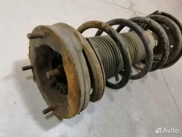 Амортизатор зад. в сборе Chrysler Concord 1998-04