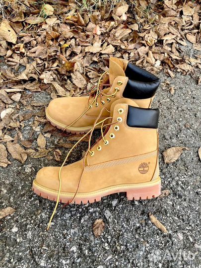 Timberland 6 inch premium оригинал