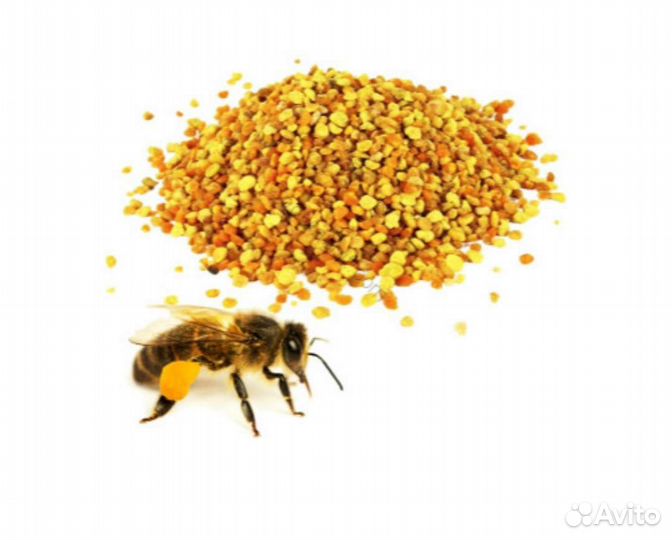 Пчелиная пыльца (обножка)