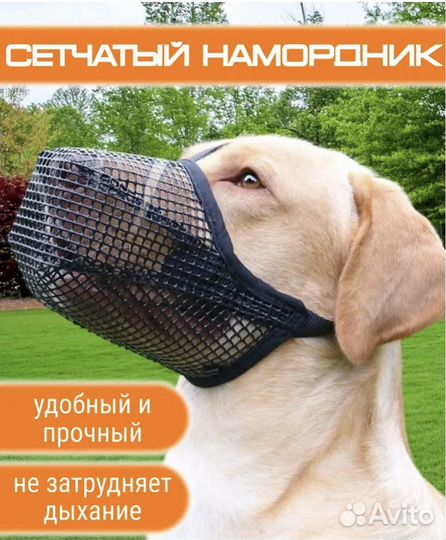 Намордник сетчатый