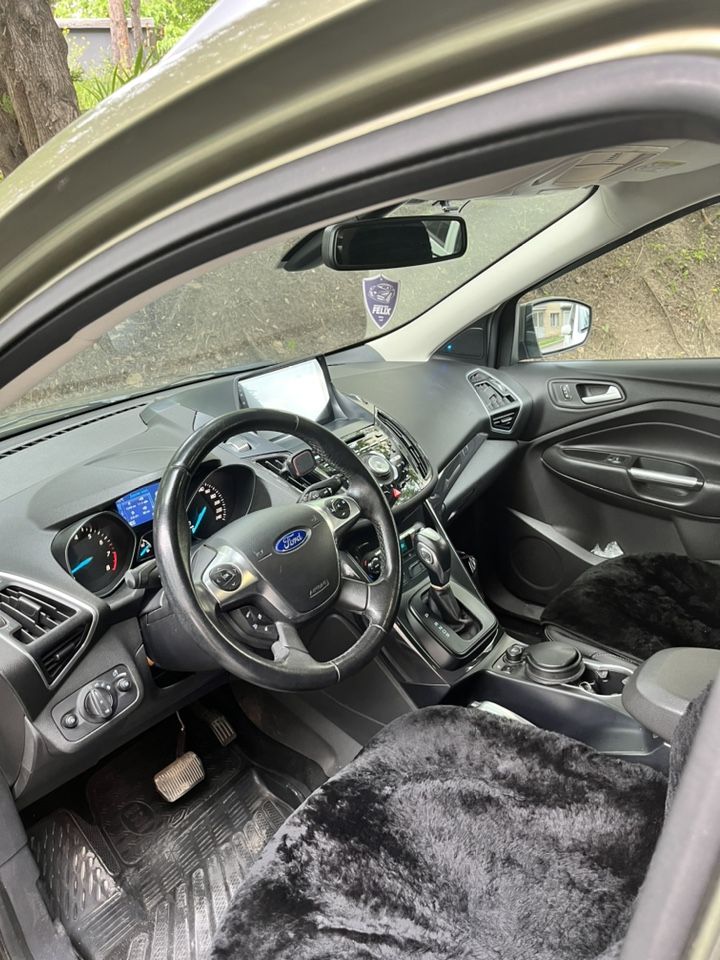 Ford Kuga: фото владельца
