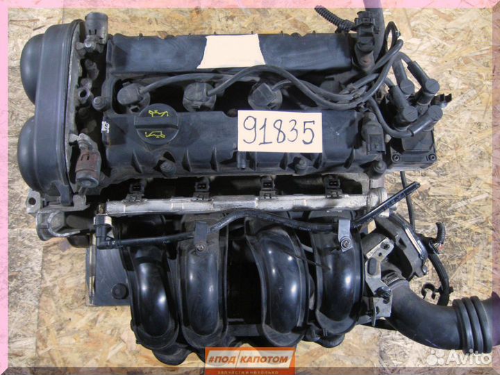 Двс pnda hxja hxda 1,6 Ford Focus 2 Focus 3 Mondeo