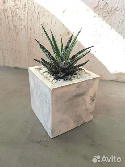 Кашпо для цветов органайзер гипс бетон