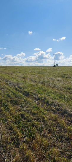 Участок 15 га (ИЖС)