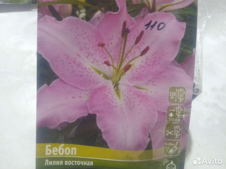 Восточные лилии