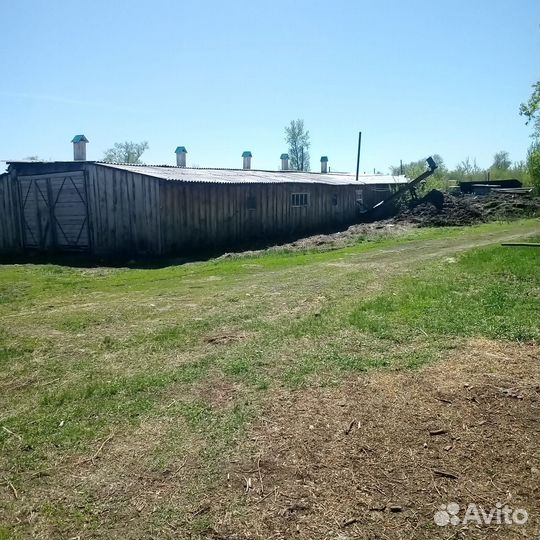 Продам ферму с домом