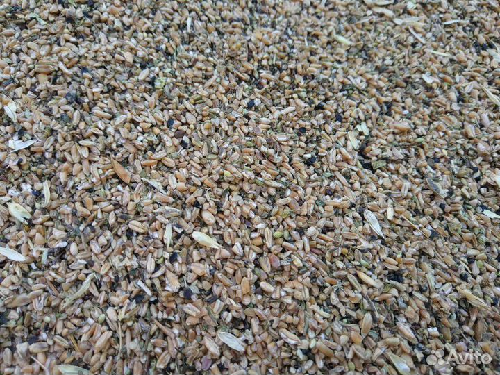 Пшеничные отходы