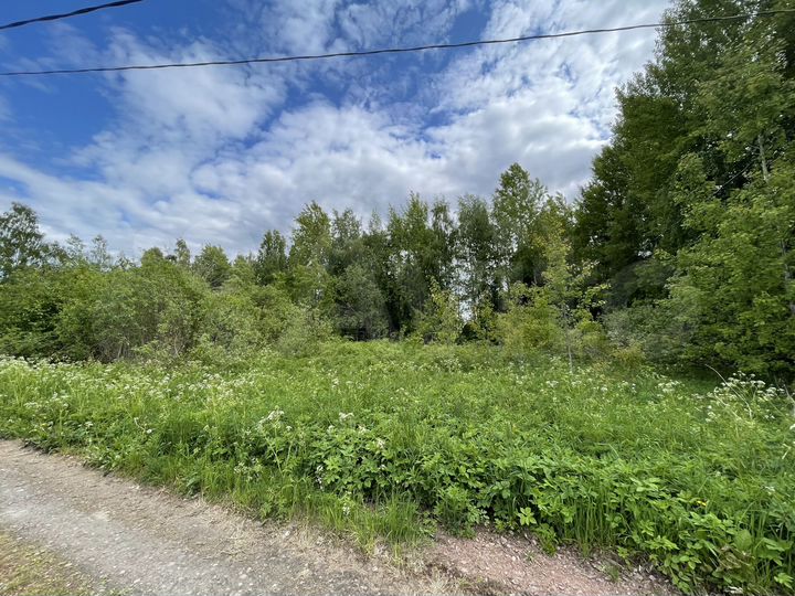 Участок 12 сот. (ИЖС)