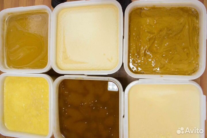 Мед натуральный из Алтая опт