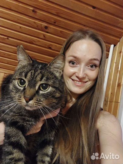 Котоняня