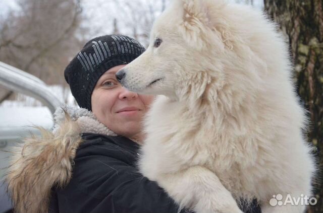 Инструктор по вязке собак