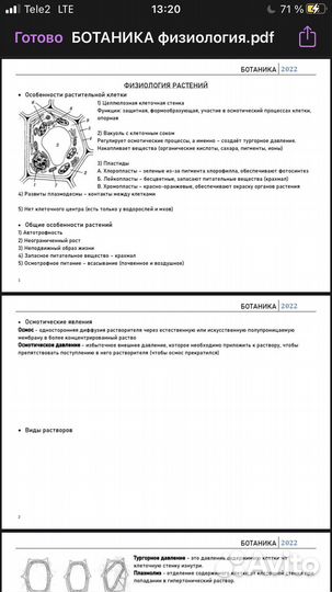 Репетитор по биологии егэ огэ онлайн