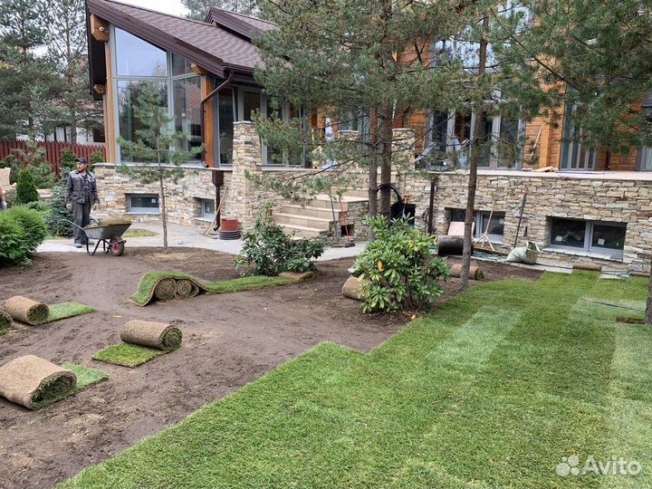 Быстрое озеленение участка рулонным газоном