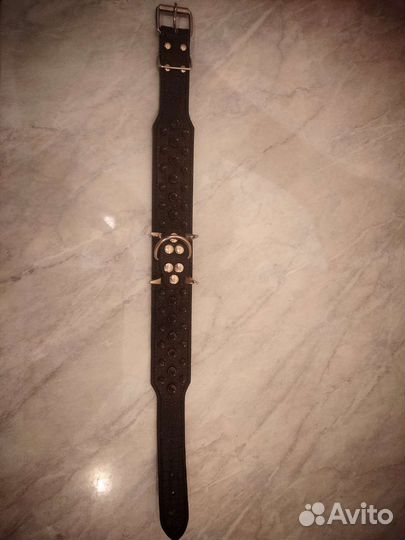 Ошейник для собак с шипами