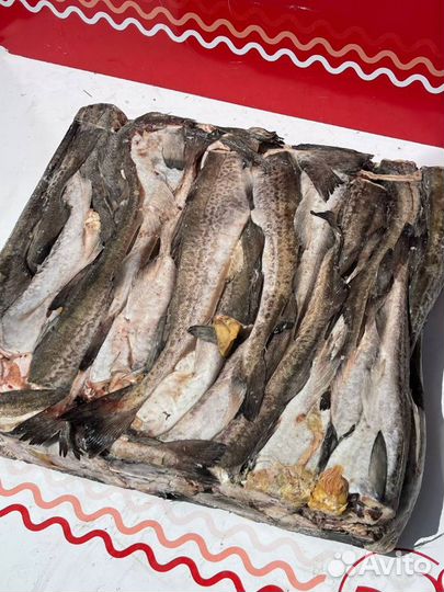 Минтай Камчатка опт