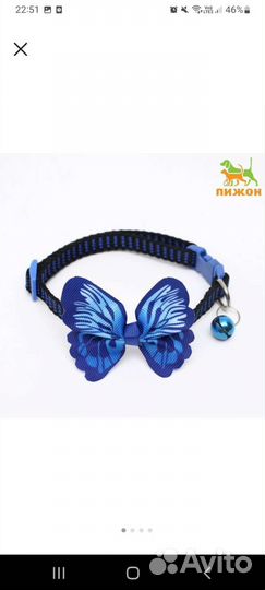 Новый ошейник