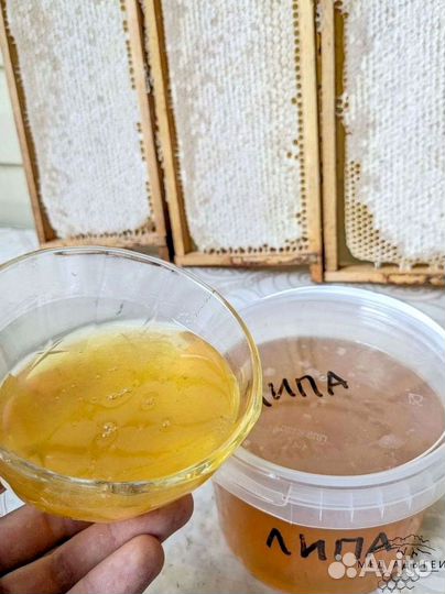 Липовый мед натуральный