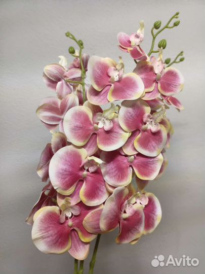 Орхидеи искусственные